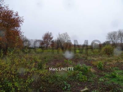 For sale Tartas Landes (40400) photo 1