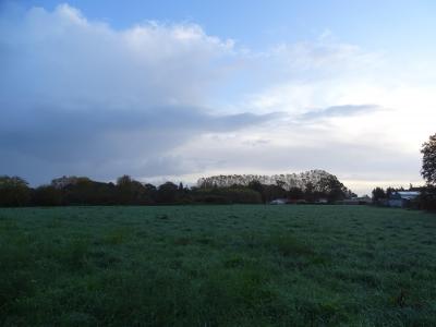 For sale Tartas Landes (40400) photo 2
