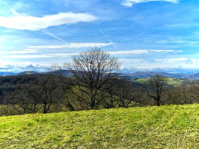 Acheter Terrain Saint-palais 129000 euros