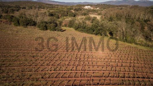 For sale Bosc Herault (34700) photo 4