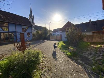 Acheter Maison Mussig Bas rhin