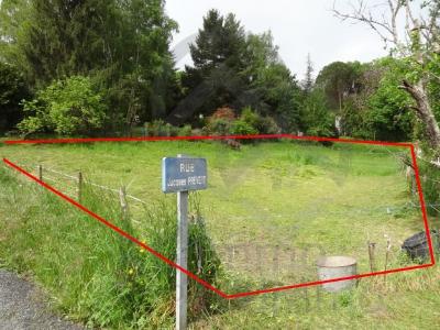 Annonce Vente Terrain Firmi 12
