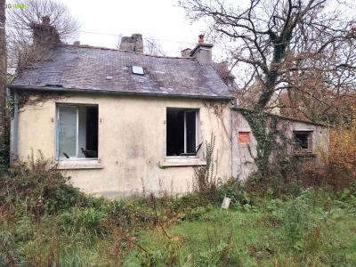 For sale Landerneau 2 rooms 46 m2 Finistere (29800) photo 1