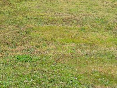 Annonce Vente Terrain Behoust 78