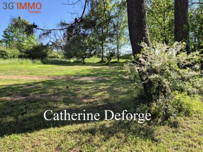 For sale Prignac-et-marcamps Gironde (33710) photo 0