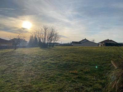 For sale Montbrison 567 m2 Loire (42600) photo 2