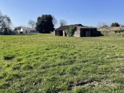 Annonce Vente 5 pices Maison Bois-de-cene 85