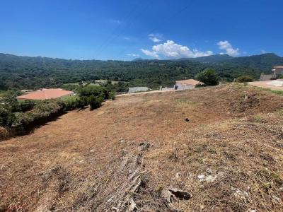 Annonce Vente Terrain Folelli 20