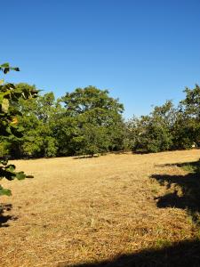 Annonce Vente Terrain Saint-medard-en-forez 42
