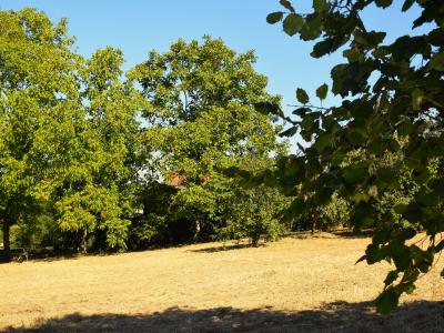 Acheter Terrain Saint-medard-en-forez