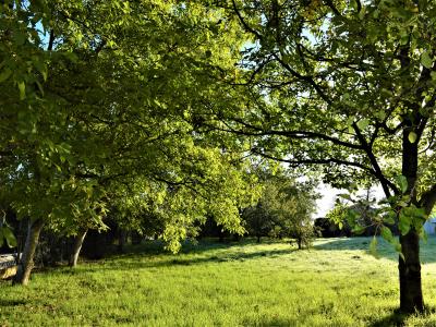 Acheter Terrain Saint-medard-en-forez Loire