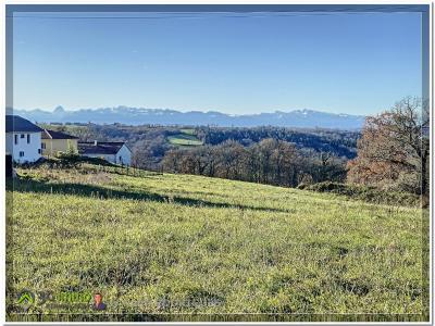 Annonce Vente Terrain Sauvagnon 64