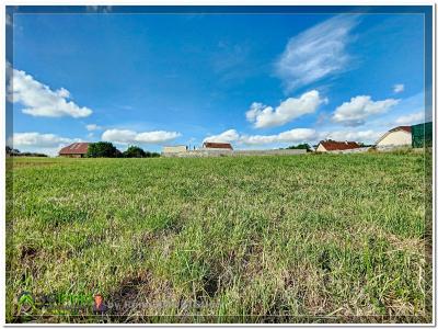 Acheter Terrain Sauvagnon