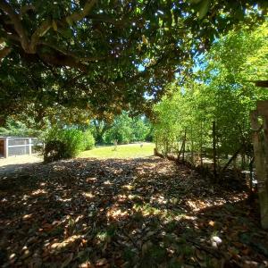 For sale Tilh 6 rooms 152 m2 Landes (40360) photo 1