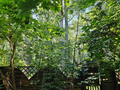 For sale Evry 4 rooms 80 m2 Essonne (91000) photo 1