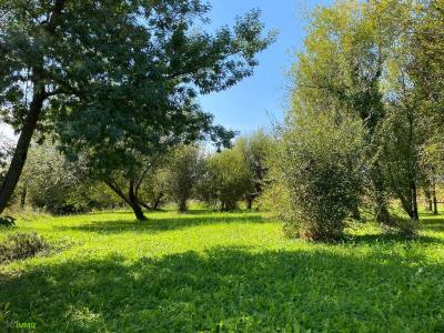 For sale Mant 6 rooms 125 m2 Landes (40700) photo 1