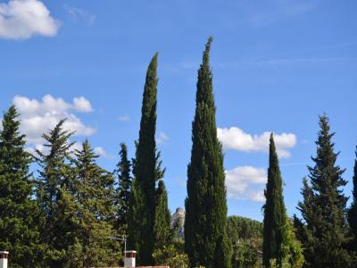For sale Saint-remy-de-provence 5 rooms 125 m2 Bouches du Rhone (13210) photo 1
