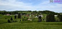Vente Appartement Pesse 3 pieces 53 m2