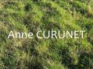 For sale Land Locqueltas 