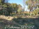 For sale Land Saint-savin