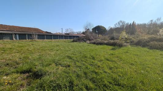 Annonce Vente Terrain Castres 81