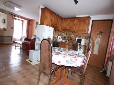 Annonce Vente 9 pices Maison Termes 48