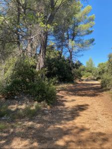 Annonce Vente Terrain Salernes 83
