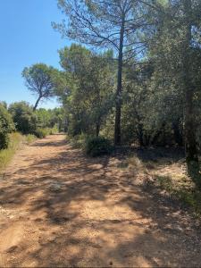 Acheter Terrain Salernes