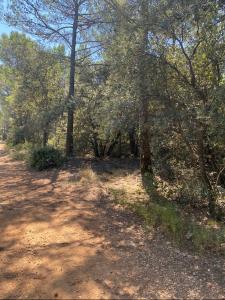 Acheter Terrain Salernes Var