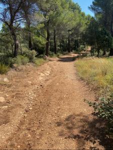 Acheter Terrain Salernes 26000 euros