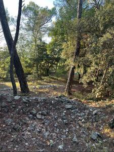 Acheter Terrain Lorgues Var