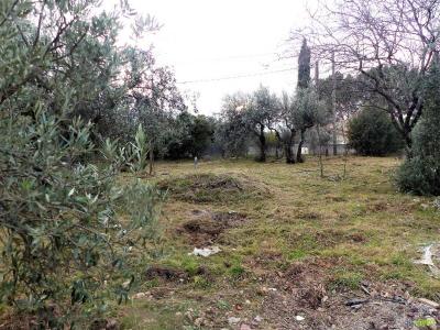 Annonce Vente Terrain Flayosc 83