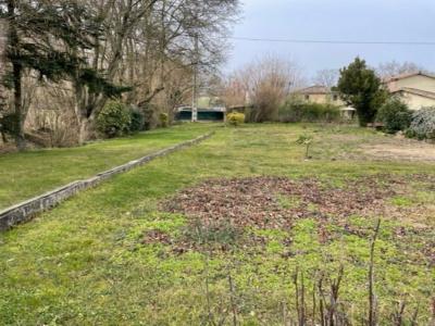 Annonce Vente Terrain Savigneux 01