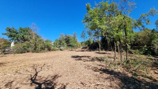Annonce Vente Terrain Cruviers-lascours 30