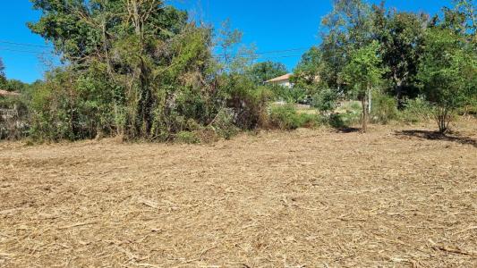 Acheter Terrain Cruviers-lascours 105000 euros