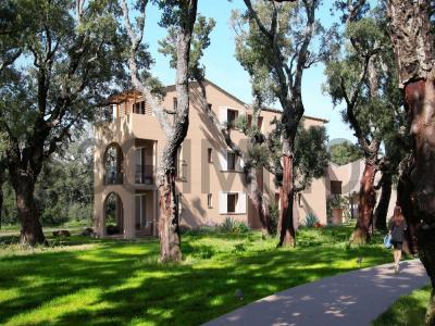 Annonce Vente 3 pices Appartement Lecci 20