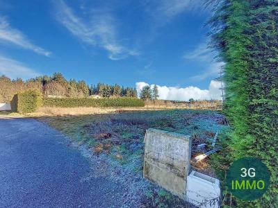 Annonce Vente Terrain Saint-pal-de-mons 43