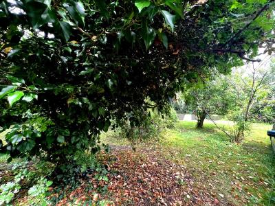 Annonce Vente 5 pices Maison Noisy-le-sec 93