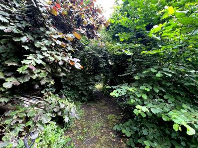 Acheter Maison Noisy-le-sec 730000 euros