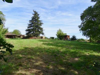 Annonce Vente Terrain Bellegarde-sainte-marie 31