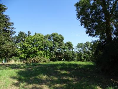 Acheter Terrain Bellegarde-sainte-marie Haute garonne