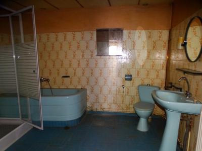 Acheter Maison Isle-jourdain 130000 euros