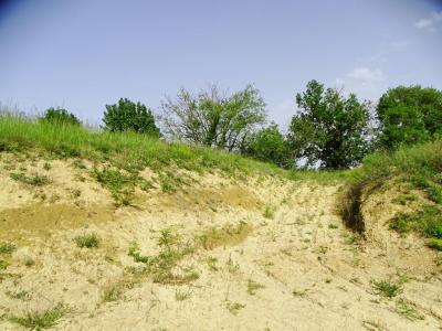 Acheter Terrain Isle-jourdain