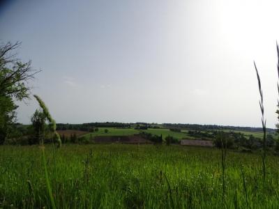 Acheter Terrain Isle-jourdain 139000 euros