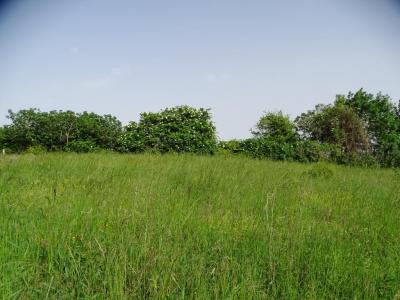 Acheter Terrain Isle-jourdain Gers