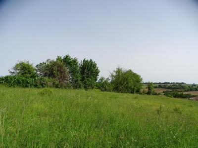 Acheter Terrain Isle-jourdain 133000 euros