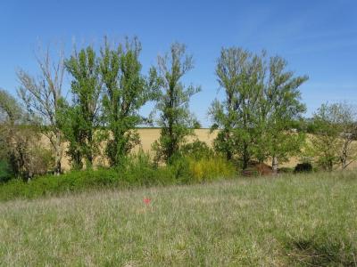 Annonce Vente Maison Isle-jourdain 32