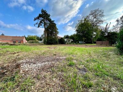 Annonce Vente Terrain Barbizon 77