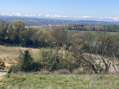 Annonce Vente Terrain Bellegarde-sainte-marie 31