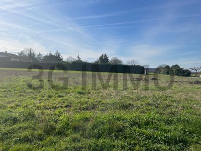 Annonce Vente Terrain Saint-pardon-de-conques 33